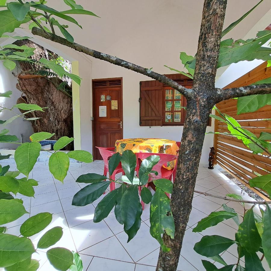 Residence Les Manguiers Pointe-Noire Exterior foto