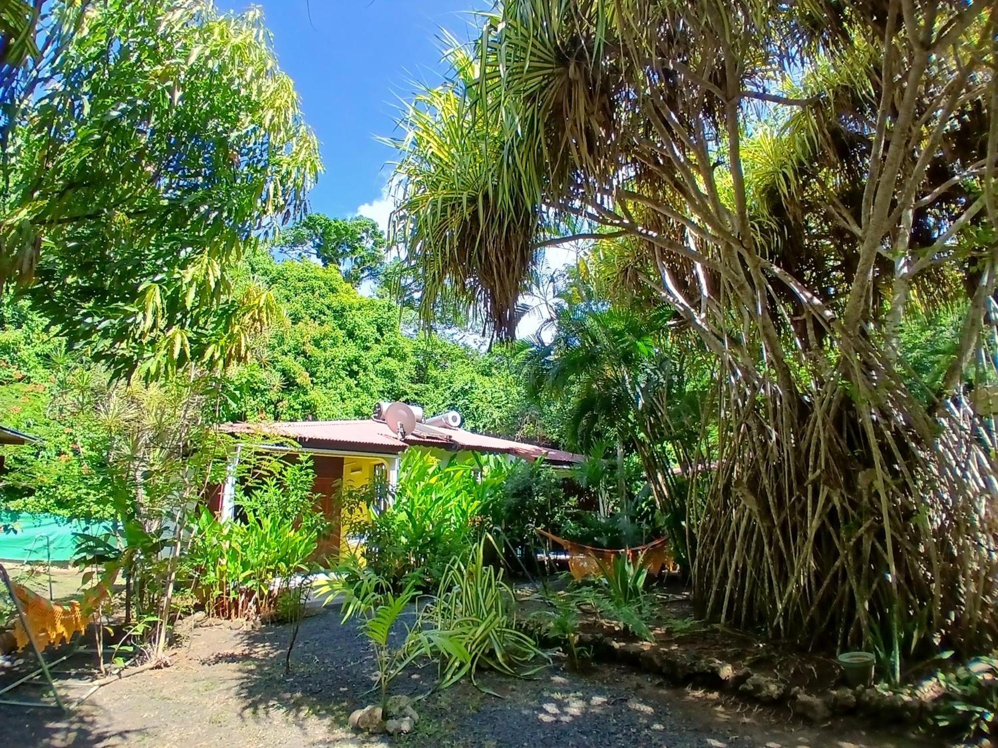 Residence Les Manguiers Pointe-Noire Exterior foto